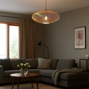 Brass Disc Pendant Soft Shadow Living Room Light
