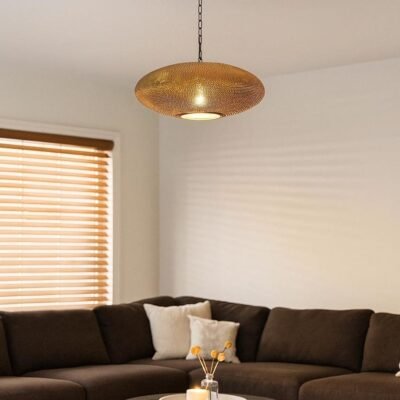 Brass Disc Pendant Soft Shadow Living Room Light