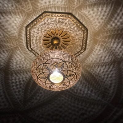 products-color2 Floral Shadow Light for Bedroom, Hallway or Entryway 